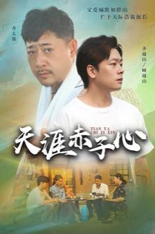 天涯赤子心海报